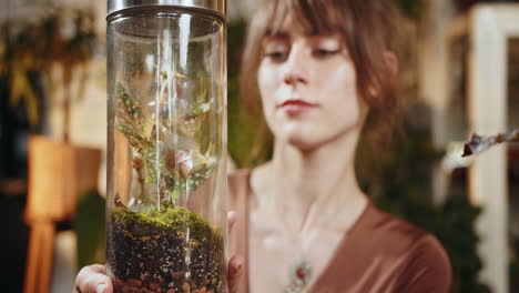 mujer examinando una planta de terrario