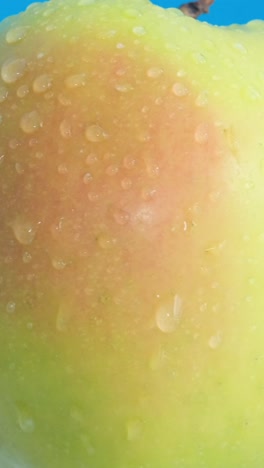 beautiful big juicy apple on a blue background. macro video