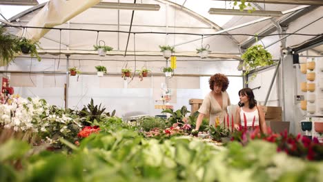 young women shopping plants in nursery during daytime