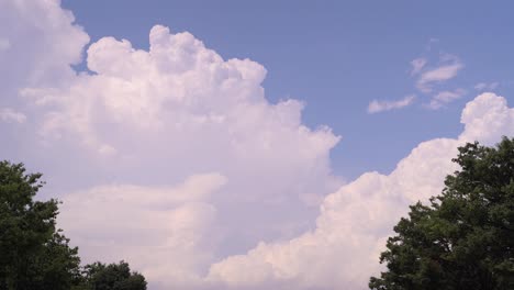 Beautiful-white-cumulus-clouds-framed-in-between-two-trees-on-blue-sunny-summer-day---Locked-off-view