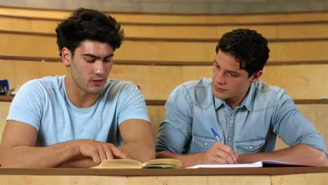 Classmates-studying-in-library-and-smiling-at-camera