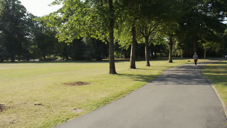 Road-runner-woman-running-in-park-in-the-morning-motion-track-high-definition-video