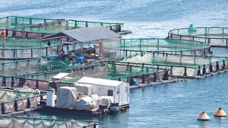 fish farming in corfu