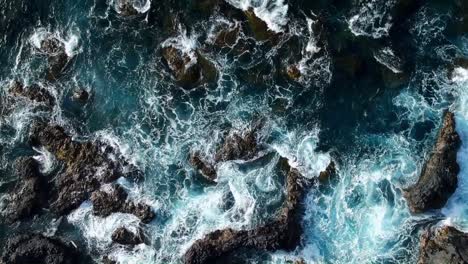 blue rocky coast in the canary island
