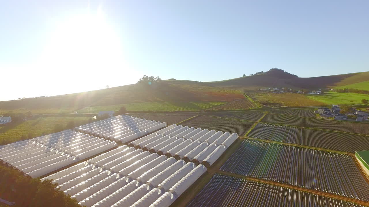 온실 을 짓기 위한 완벽 한 장소