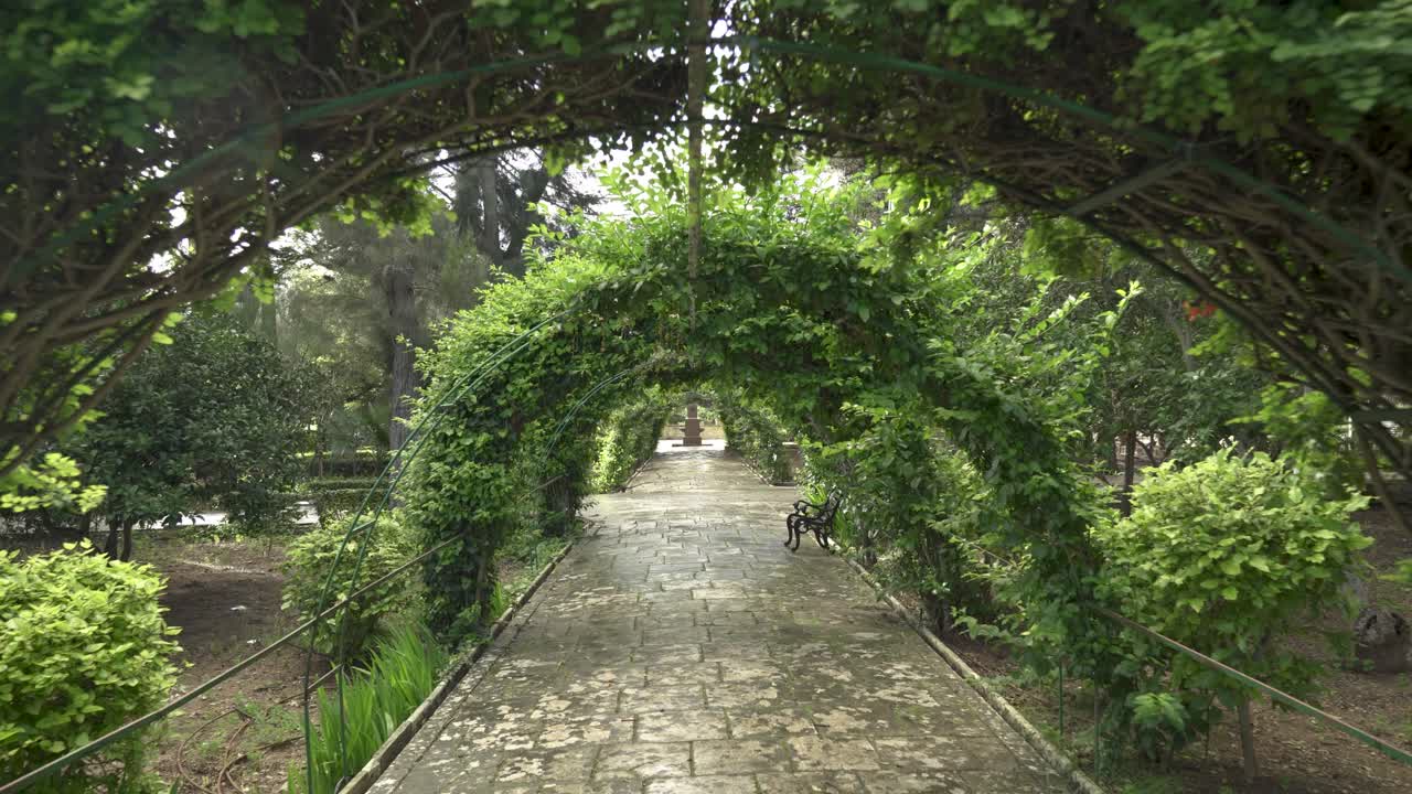 caminando a través de un largo túnel verde de vides en los jardines de san anton
