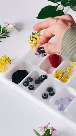 making colorful fruit infused ice cubes with flowers