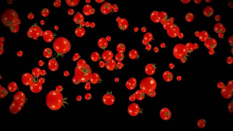 flying many fresh tomatoes on black background. organic vegetables. ripe juicy cherry tomatoes. 3d loop animation of tomato rotating.