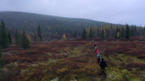 hikers in a beautiful autumn forest landscape