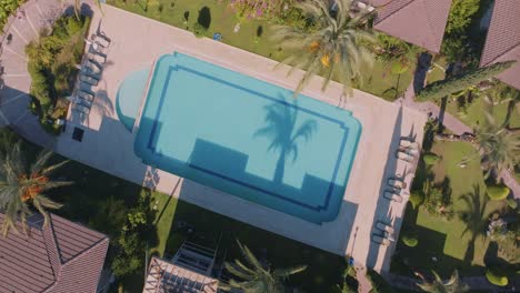 aerial view of a resort swimming pool with palm trees and gardens