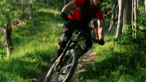 mountain bikers on a forest trail