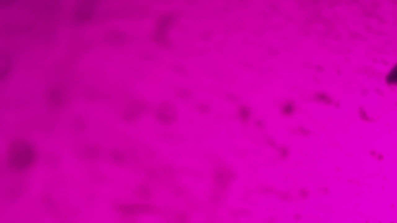Fondos abstractos y coloridos
