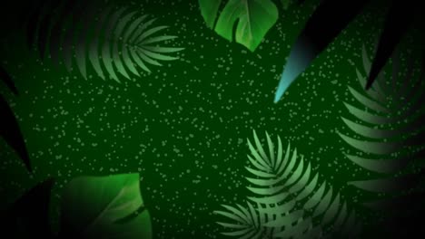 animation of tropical green leaves green particles and water drips on green background