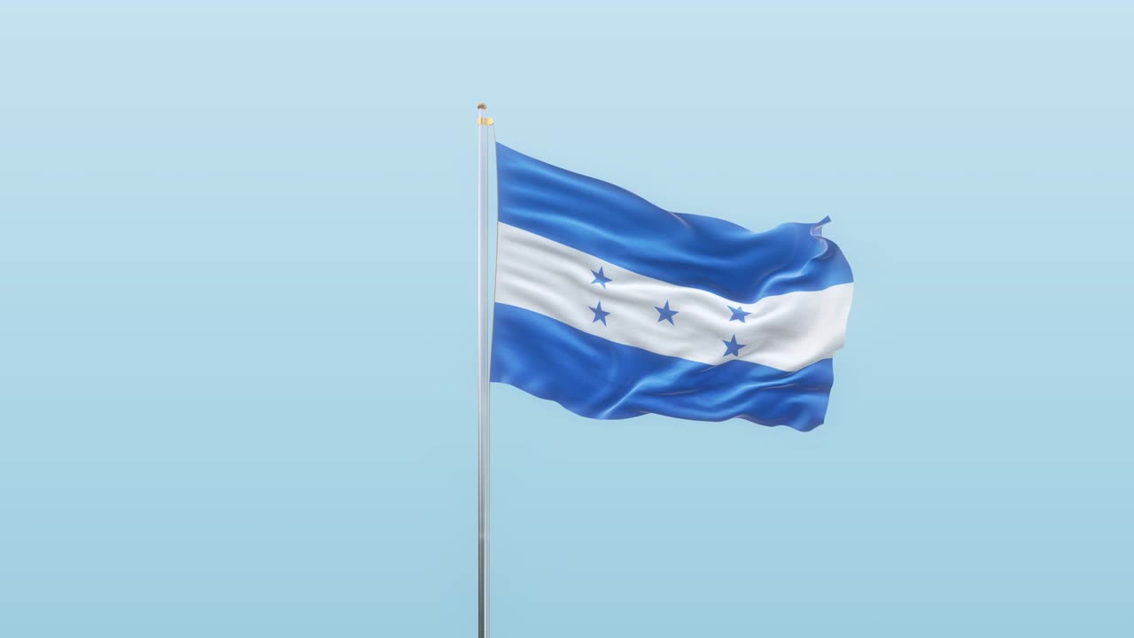 온두라스 발은 알파와 배경이 다른 각도에서 움직입니다.