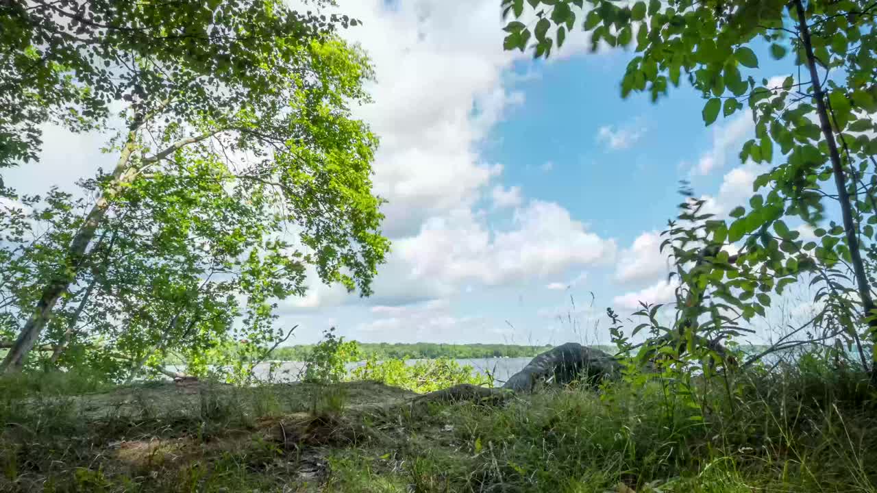 울창한 초록색과 은 파란 하늘에 둘러싸인 호수 연안에서 조용한 풍경