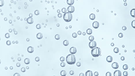 burbujas de agua con fondo blanco, la cámara se inclina hacia arriba a lo largo de las burbujas a medida que algunas burbujas comienzan a moverse hacia la superficie
