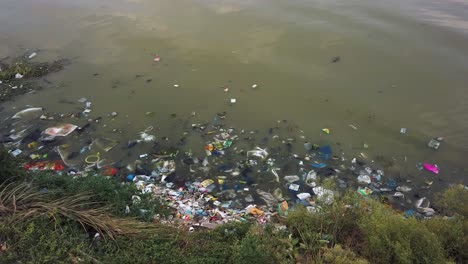 polluted water with plastic garbage and other debris