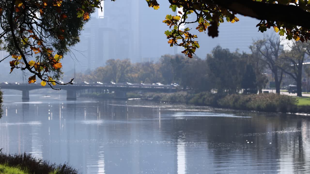 도시 배경 으로 평온 한 강 장면
