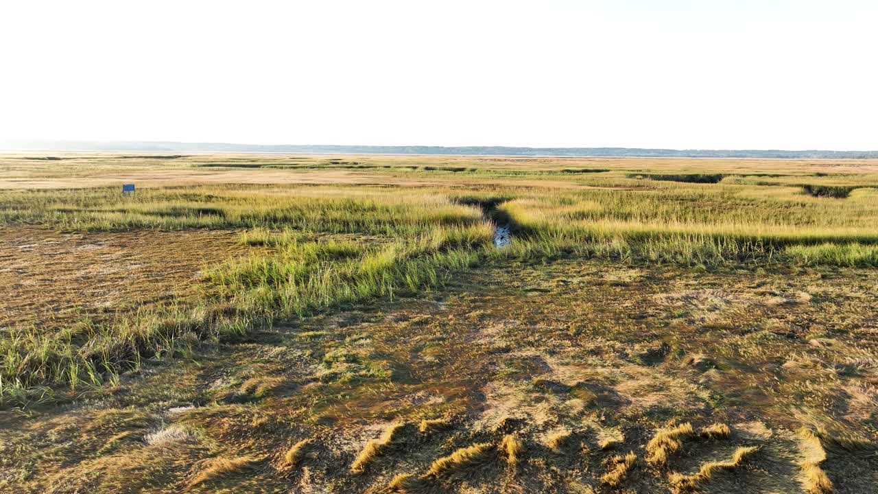 Aerial pullback over salt marshes with winding creeks at Sandy Neck Beach Park, surrounded by grassy marshlands