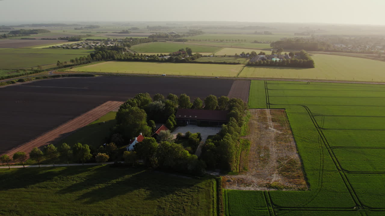 Veduta panoramica di un casale in un polder verdeggiante all'alba nei Paesi Bassi