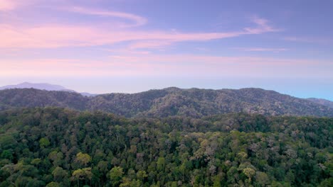 aerial flight through penang national park with a warm colourful sky