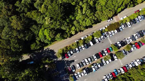 Vehículos-Estacionados-En-El-Estacionamiento-En-El-Retiro-De-La-Selva-Tropical-De-O&#39;reilly---Parque-Nacional-Lamington-En-Verano---Descenso-Aéreo,-Disparo-En-órbita