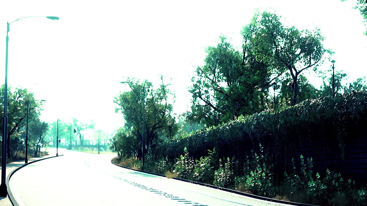 은 날 나무로 둘러싸인 휘어지는 길