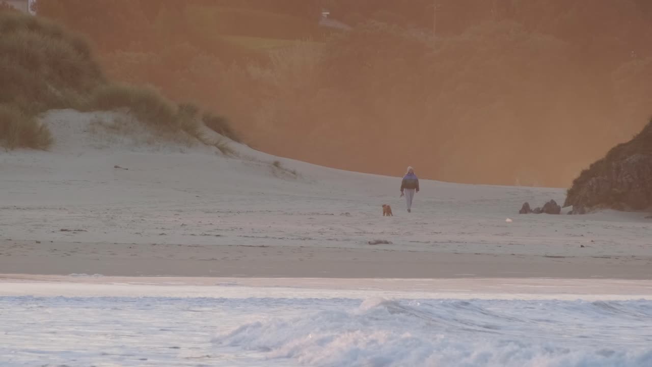 누군가가 모래 언덕 사이에서 개를 산책시키는 해변 근처의 바다 파도의 아름다운 슬로우 모션 샷