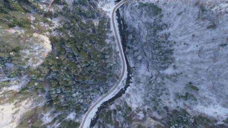 snowy mountain with pine forest