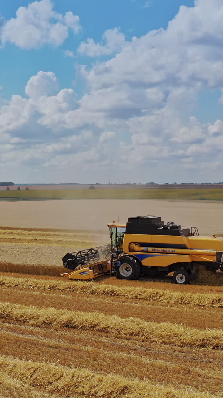 밀 에서 일 하는 수확기