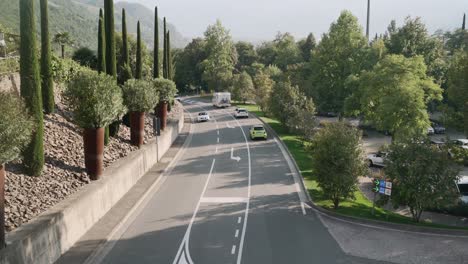 cars on road covered from beautiful trees