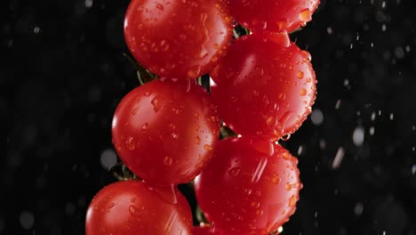 water droplets on fresh cherry tomatoes