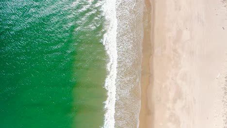 vibrant green tropical color ocean and sandy beach, aerial top down view