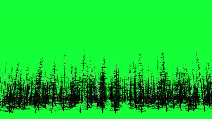 Forest Fire on Green Screen