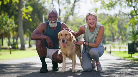 a senior couple exercising in the park with their dog