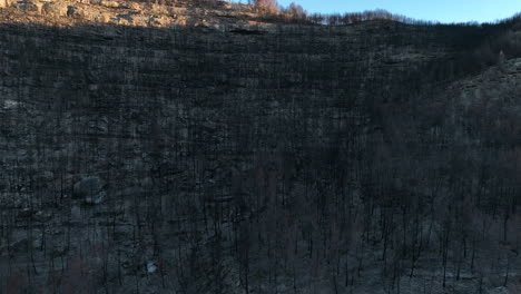 Black-Dead-Trees-In-Burned-Forest-After-Fire-In-El-Pont-de-Vilomara,-Spain---aerial-drone-shot