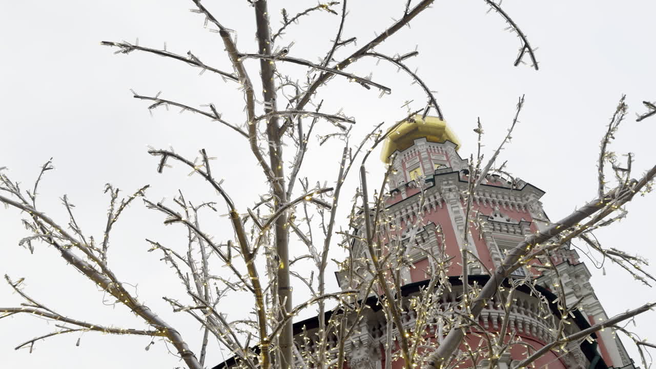 Ornamental Christmas Lights on a Tree in Front of a Church Tower