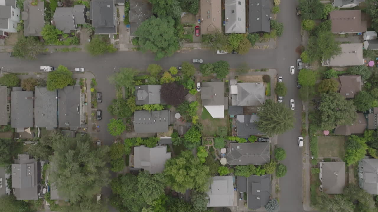 한 여름 오후에 호스톤에서 찍은 사진