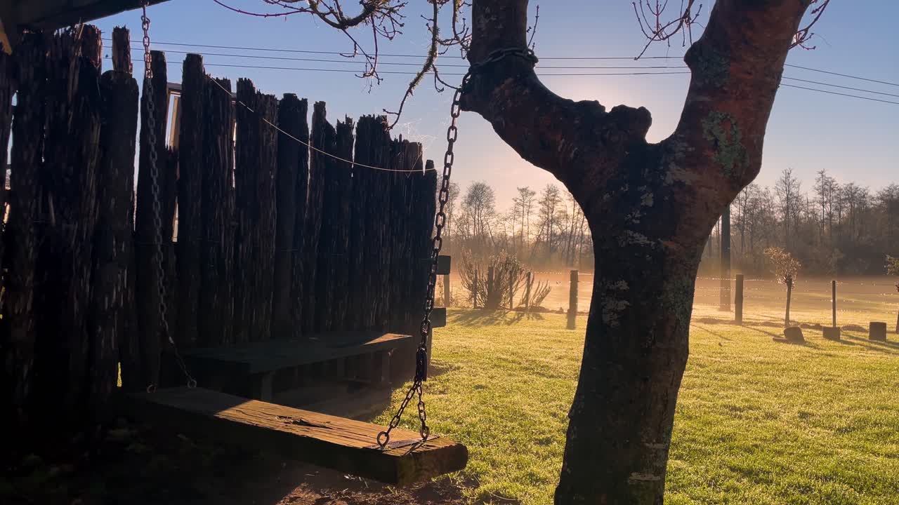 아침 일찍 잔디의 울타리 에 있는 나무에 매달린 나무 스, 넓은