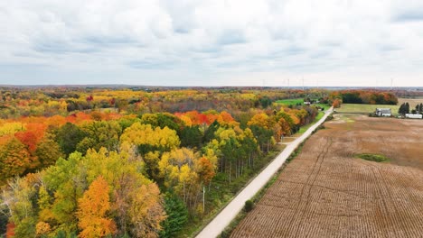 colorida línea de árboles del país en medio del otoño
