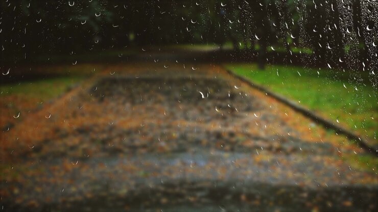 Wet road in the autumn park during the rain. View from the window.