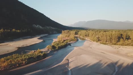 río de montaña que fluye en verano al atardecer junto a los pinos verdes