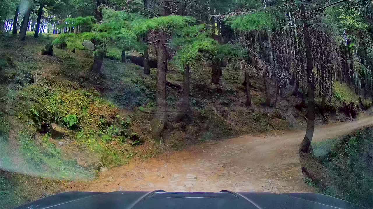 suv의 대시 캠 보기, 산에 있는 야생 동물 보호 구역의 좁고 울퉁불퉁한 지형을 통해 운전