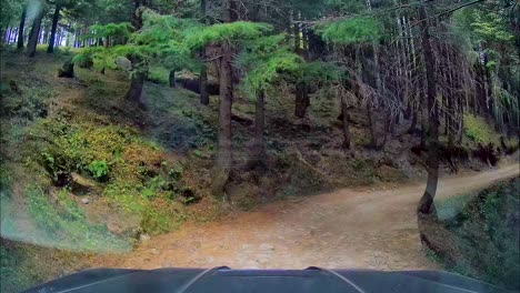 Dash-cam-view-of-SUV,-driving-through-narrow-and-bumpy-terrain-of-wildlife-sanctuary-in-mountains