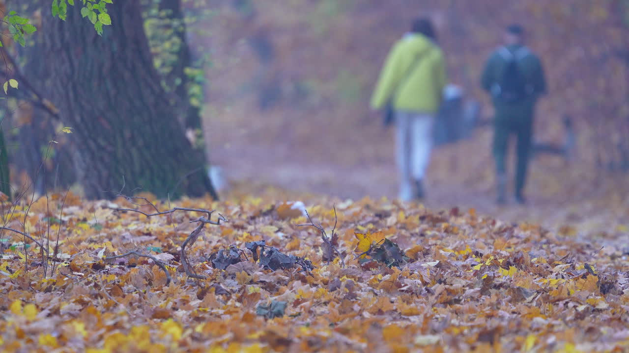 A serene autumn landscape with people walking on a leaf-covered path in
