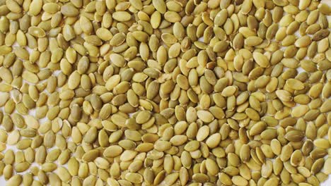 pumpkin seeds