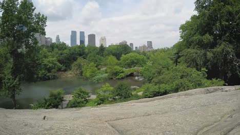 relaxing at idyllic place in central park of new york city in summer