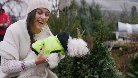 woman and dog shopping for a christmas tree