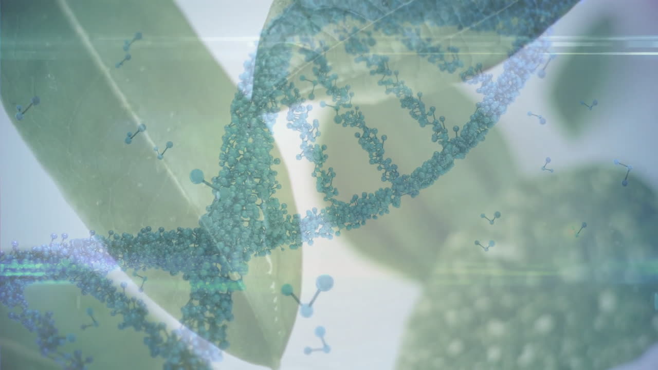 Animation of DNA strand and molecular structures over green leaves, scientific concept