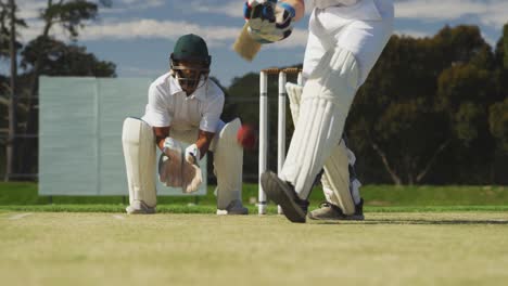 jugador de cricket deteniendo la pelota en un campo